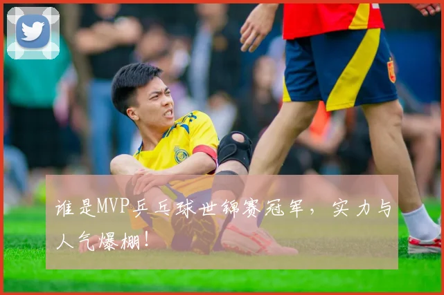 谁是MVP乒乓球世锦赛冠军，实力与人气爆棚！