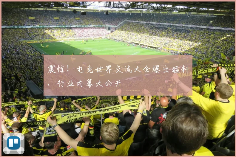 震惊！电竞世界交流大会爆出猛料，行业内幕大公开